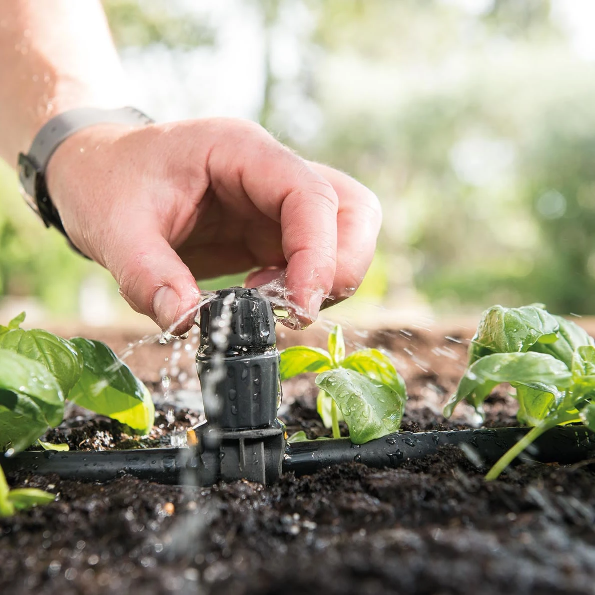 Hozelock Universal Adjustable Dripper - Pack Of 10 5 Hozelock Universal Adjustable Dripper - Pack Of 10 - Image 5