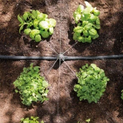 Hozelock Universal Adjustable Dripper - Pack Of 10 8 Hozelock Universal Adjustable Dripper - Pack Of 10 -Hozelock 7010 overhead 1