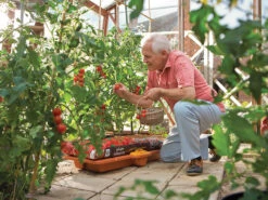 Hozelock 2810 Growbag Waterer -Hozelock HOZ2810 INUSE1