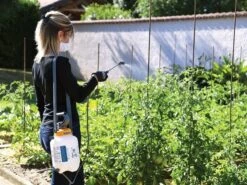 Hozelock Standard Pressure Sprayer -Hozelock HOZ4230 INUSE1