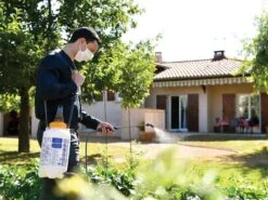 Hozelock Standard Pressure Sprayer -Hozelock HOZ4231 INUSE1