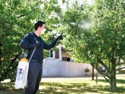 Hozelock Standard Pressure Sprayer -Hozelock HOZ4232 INUSE1