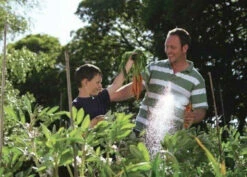 Hozelock 2684 Multi Spray Plus Gun And 2185 Waterstop -Hozelock hozelock 2684 multi spray plus gun and 2185 waterstop 5010646037600 ftb6029 07760.1600066207