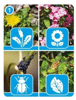 Hozelock 4710 Multi Purpose Pressure Sprayer 10 Litre -Hozelock hozelock 4710 multi purpose pressure sprayer 10 litre ftb6016 74395.1600066003