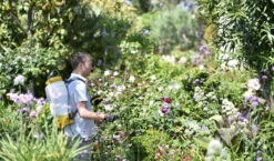 Hozelock 4712A 12l Knapsack Sprayer -Hozelock hozelock 4712a 12l knapsack sprayer ftb6035 19049.1600065882