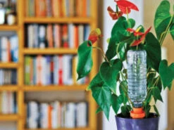 HOZELOCK AQUASOLO 3 + 1 SET MEDIUM (GREEN) FOR POTS Ø30 - 40CM 2717 Pack Of 4 Ideal For Holiday Watering Indoor And Outdoor -Hozelock hozelock aquasolo 2717 8000 40cm pot pack of 4 ideal for holiday watering indoor and outdoor ftb6015 58604.1600066465