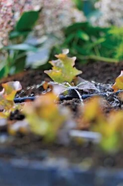 Hozelock 360° Adjustable In-Line Sprinkler (12 Pack) - 2786 -Hozelock hozelock drippers hozelock adj dripper in line 5 pack 2786 7548103685