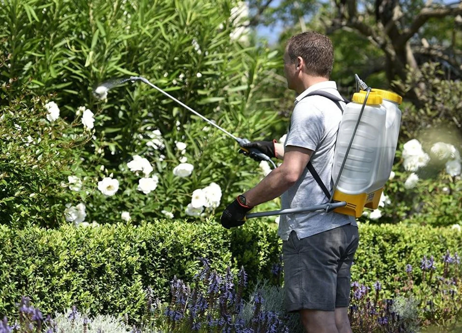 Hozelock Pulsar Comfort 16L Knapsack Pressure Sprayer Plus 4716 4 Hozelock Pulsar Comfort 16L Knapsack Pressure Sprayer Plus 4716 - Image 4