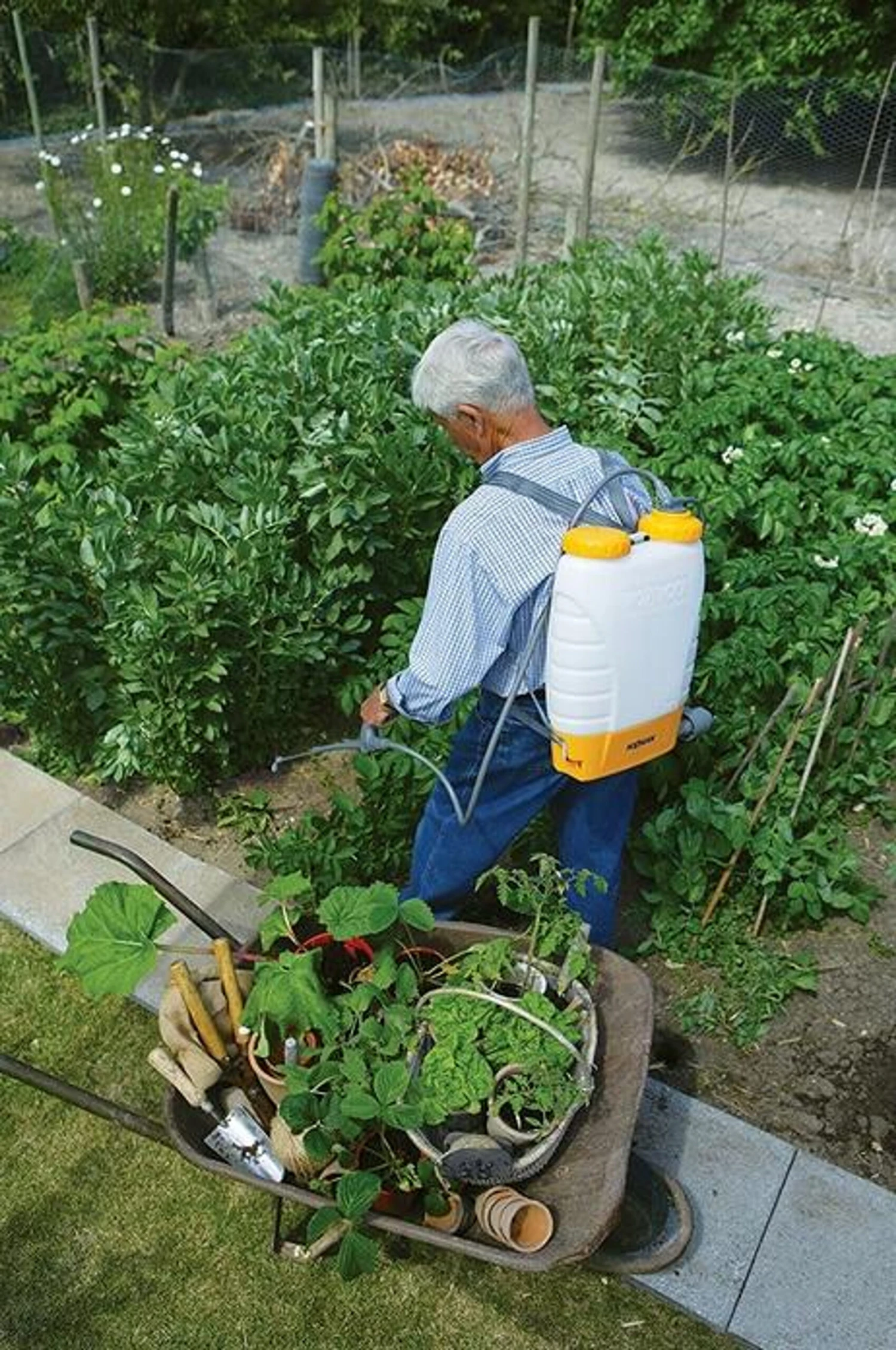 Hozelock Pulsar Comfort 16L Knapsack Pressure Sprayer Plus 4716 3 Hozelock Pulsar Comfort 16L Knapsack Pressure Sprayer Plus 4716 - Image 3