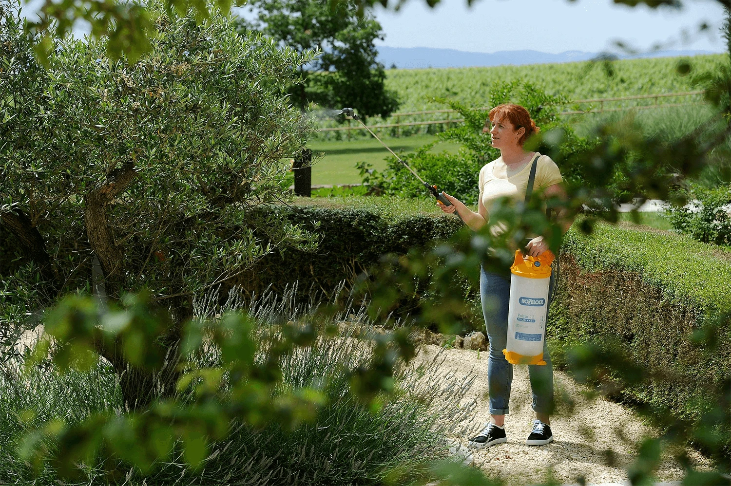 Hozelock Pulsar Plus 12L Pressure Sprayer 1 Hozelock Pulsar Plus 12L Pressure Sprayer